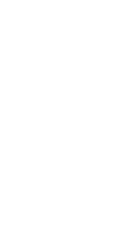 Meet the Team